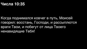 День 38. Библия за год. С митрополитом Иларионом.