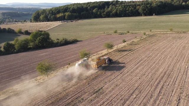 Mais Häckseln  Claas Jaguar 980  Maisfieber