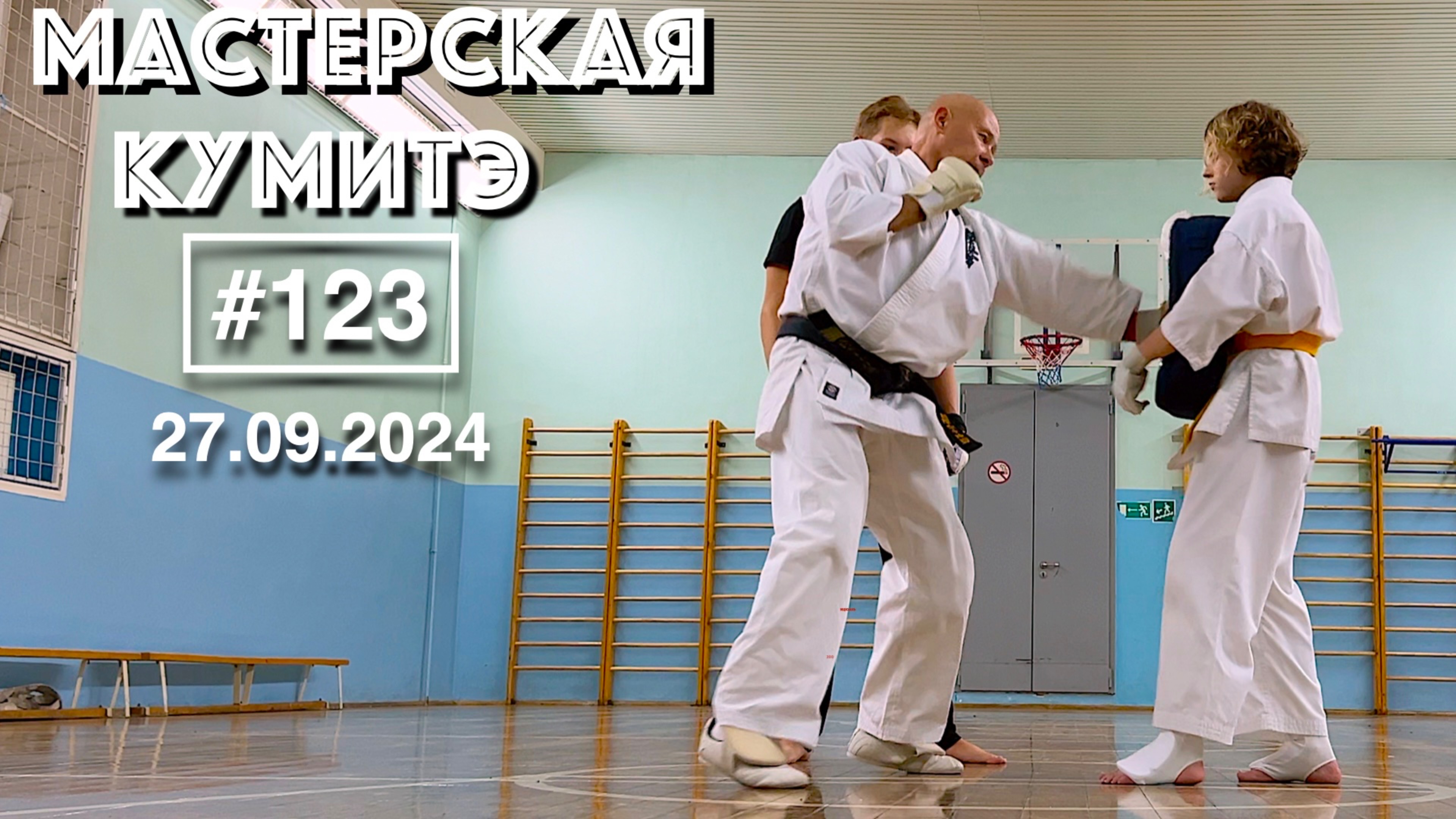 Мастерская Кумитэ Кёкусинкай (123) / Отработка ударов по подушке (27.09.24)