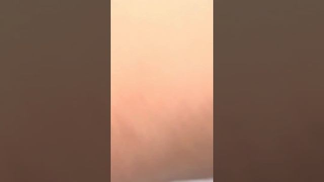 Charger Vinyl Installation смотреть онлайн