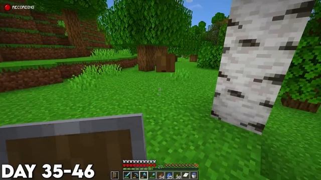 I Survived 100 Days in Hardcore Minecraft [FULL MOVIE] смотреть онлайн