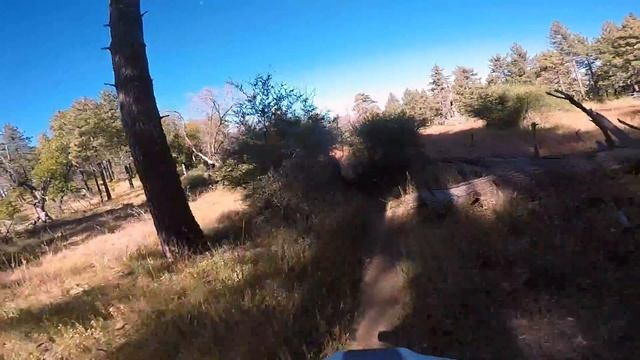 Nikolai Tesla's Decoy and Levo at Mt Laguna смотреть онлайн