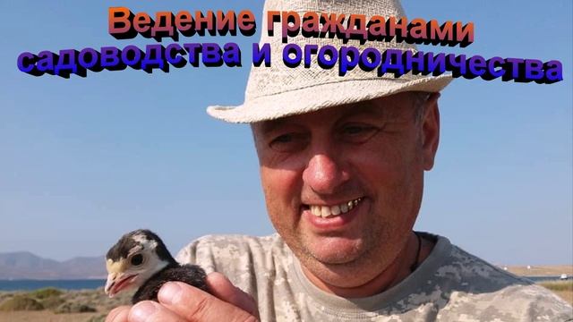 Ведение гражданами садоводства и огородничества