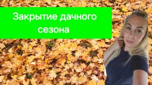 ВЛОГ:Дачный сезон. Видеодневник.