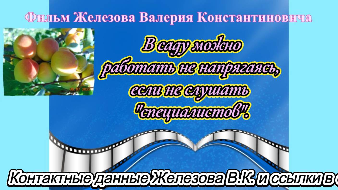 В саду можно работать не напрягаясь, если не слушать специалистов.