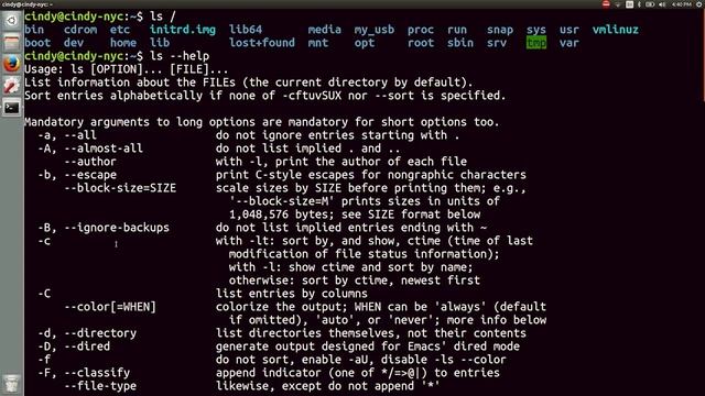 Basic Command ( Linux: Creating a Directory List ) смотреть онлайн