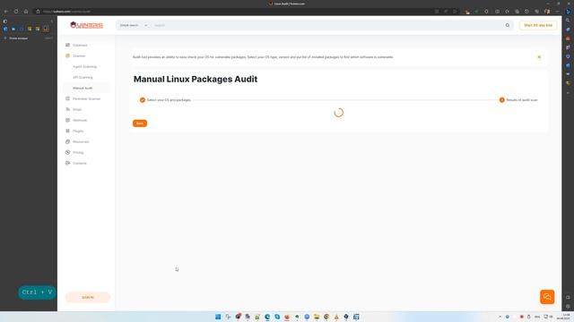 Аудит программных пакетов в Linux