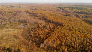 Тюменский район, СТОО Салаирское ближнее