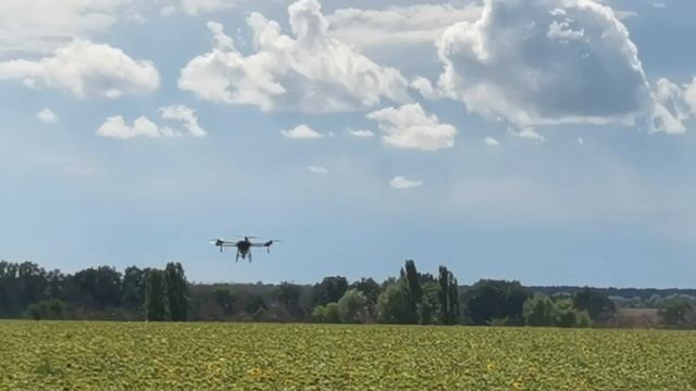 Обложка смотреть онлайн