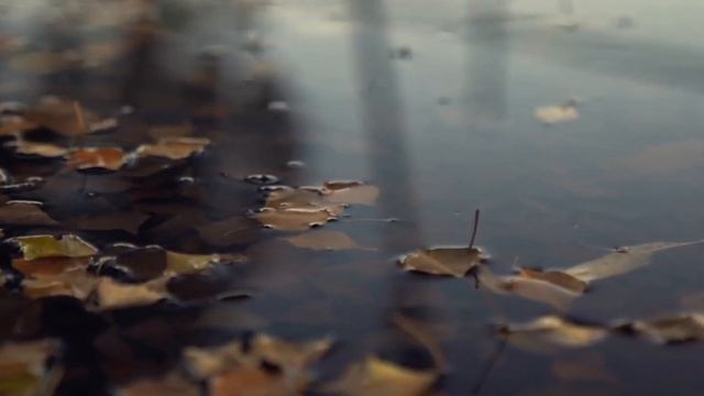 | Audi R8 CINEMATIC | TTAI #cinematic #car смотреть онлайн