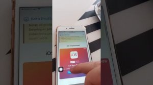 ios 14 beta for non developer accounts