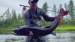 29,5 тайменей, часть 1