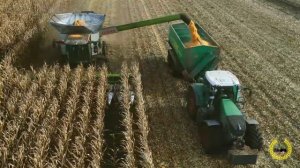 CLAAS LEXION 8800 TT / Mais Dreschen - CCM 2019 / Claas Corio 1275 C / 2 Hawe / Corn Harvest