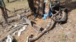 Байкал, о Ольхон