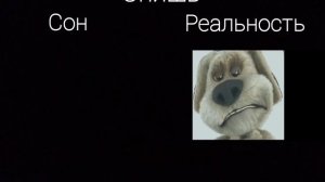 Сон vs Реальность