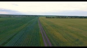 Безмятежность Полей - Relax Video