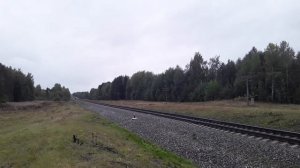 Мотовоз МПТ-4-149 с платформой.