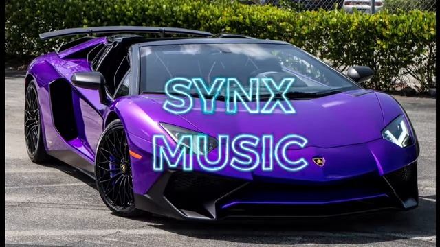 Skrillex  Rick Ross - Purple Lamborghini Tom Budin Remix - SYNX MUSIC