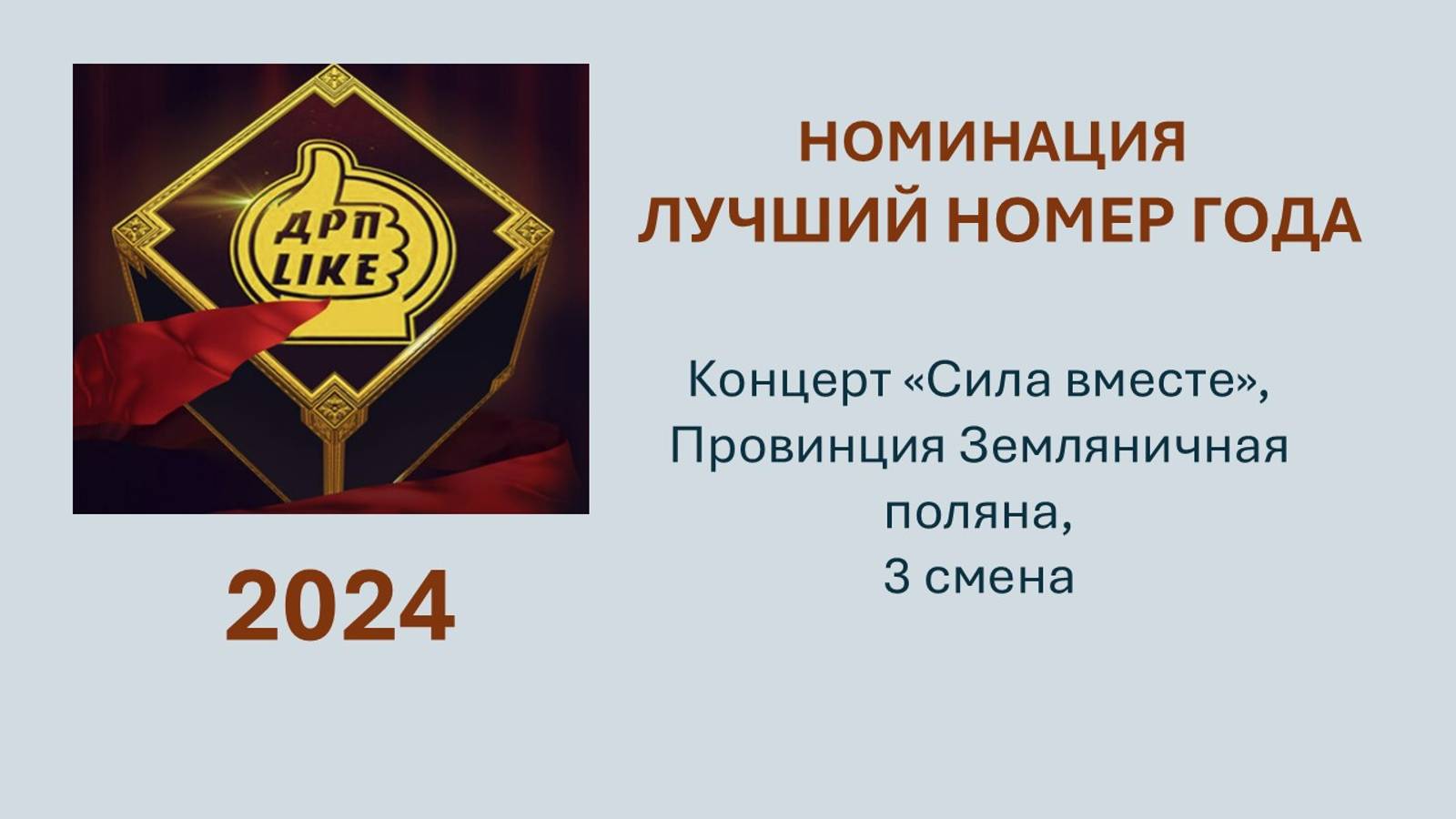 12.Концерт «Сила вместе 3 смена ЗП