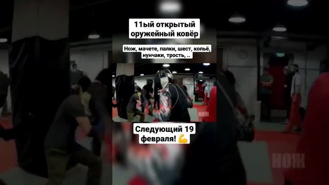 Нож, мачете, палка, шест, копьё, трость. Открытый оружейный ковёр N11. #shorts смотреть онлайн