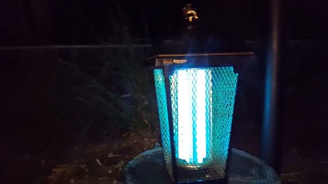 BUG COOKER! смотреть онлайн