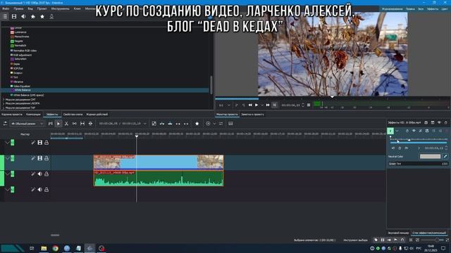 4. Баланс белого / Курс по Созданию Видео