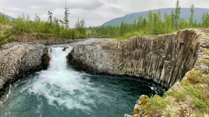 Одна река и два хариуса