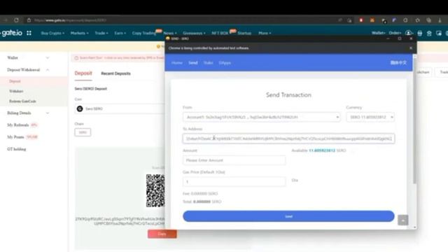 How to withdraw SERO Coin from Hardware PC Wallet to Exchange _ StepByStep Process смотреть онлайн