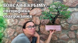 Бонсай в Крыму: специфика содержания / лекция Юлии Росток @Studio.Bonsai