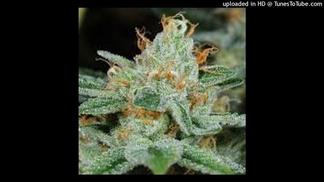 CADILLAC BOYS - BOOFPACK (PROD.XXX) смотреть онлайн