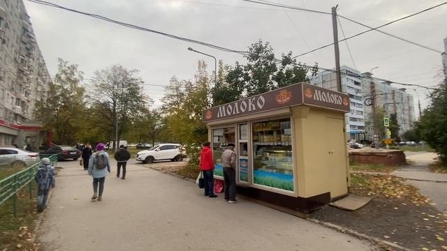 Лейтейзена обзор