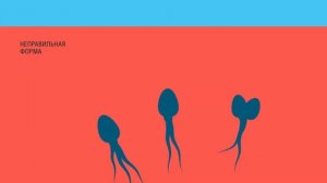 Видеоинструкция Сперотон