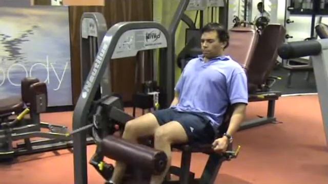 Seated leg curl смотреть онлайн