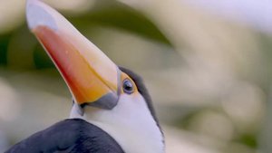 4k video ultra wide Dolby vision #ultra wide #dolby vision #full HD video #