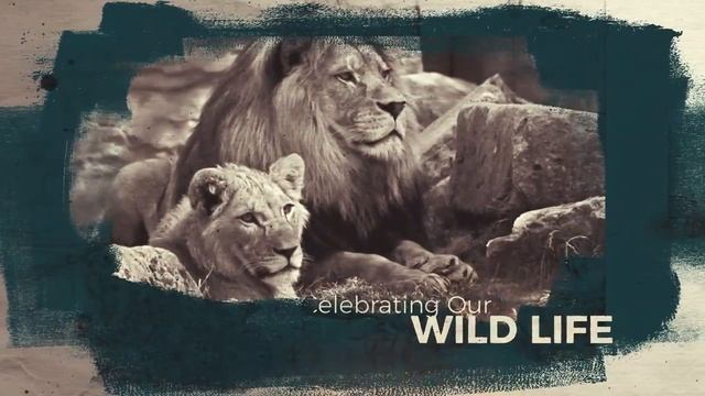 Happy Jamhuri Day from MacCoffee смотреть онлайн