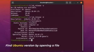 How to check Ubuntu version in bash