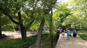 ЧИКАГО / Зоопарк / Vlog!!!