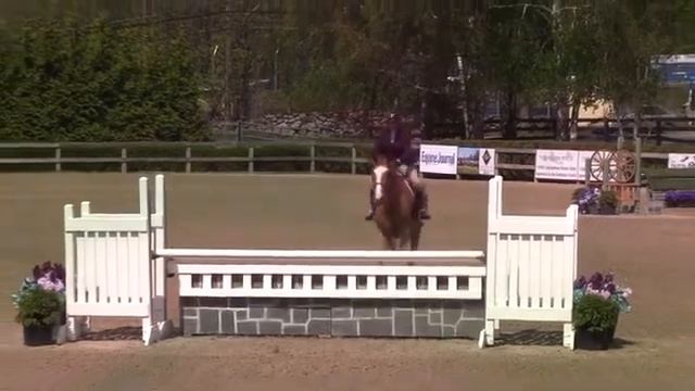 Video of SCIROCCO ridden by JENNIFER MADDEN from ShowNet! смотреть онлайн
