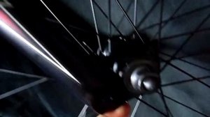 wtp justice 2011 review