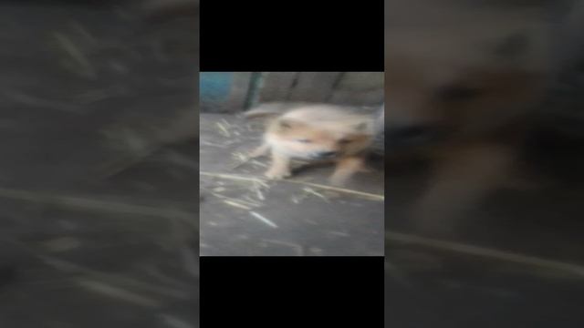 Всех приветствую, друзья!