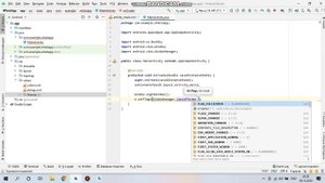 WindowManager
