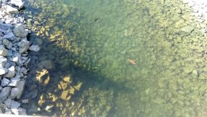 Севастополь, новый Херсонес 23.10.2024