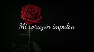 Nicholas Lens - Was Hast Du Mit Meinem Herz Getan (Live aus berlin outro) Sub español