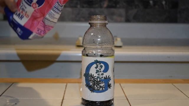 Genesis Juice