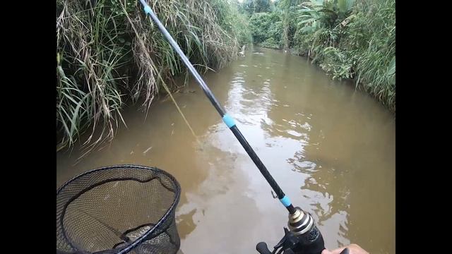 AKSI SEBARAU DI STREAM KECIL // BFS SETUP смотреть онлайн