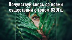 Почувствуй связь со всеми существами с тоном 639Гц