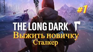 The Long Dark - Выжить новичку #1