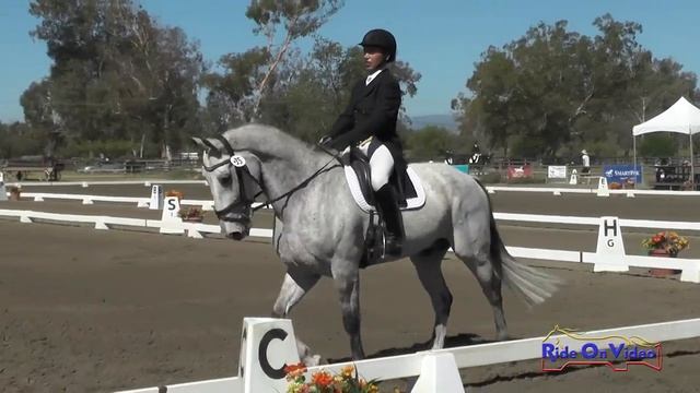 035D David Acord on Code of Conduct CIC2* Dressage Galway Downs Int'l March 2015 смотреть онлайн