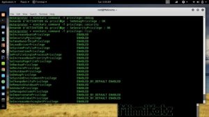 Mimikatz_how_to_use_to_get_Windows_Admin_Password