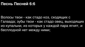 День 175. Библия за год. С митрополитом Иларионом.